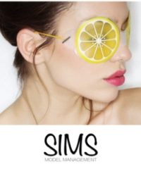 SIMS Model Management
