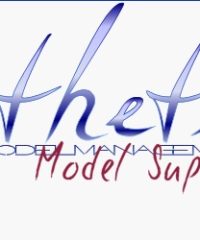 Esthetic Modelmanagement