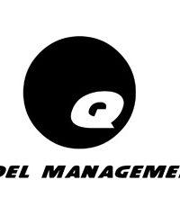 Q Model Management