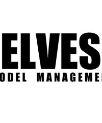 Elves Model Management