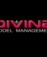 Divina Model Management