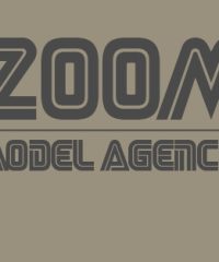 Zoom model