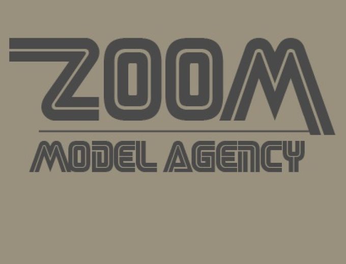 Zoom model