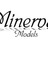 Minerva Models