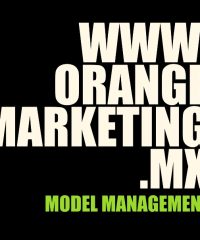 Orange Marketing Model Management
