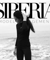 SIBERIA Model Management