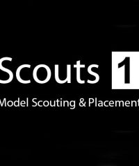 Scouts 1 Agency