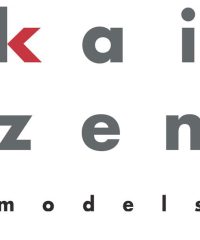 Kaizen Models