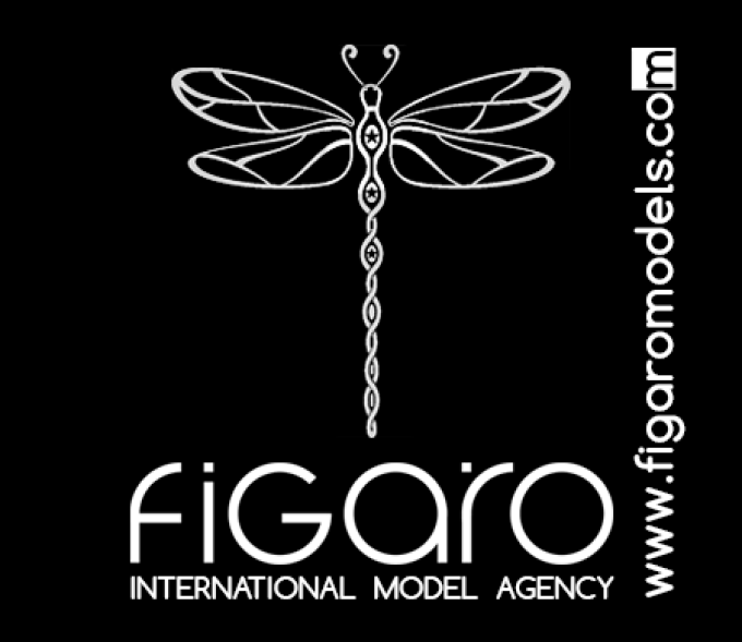 Figaro International Management Group