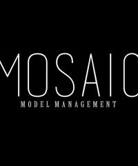 Mosaic Model Management