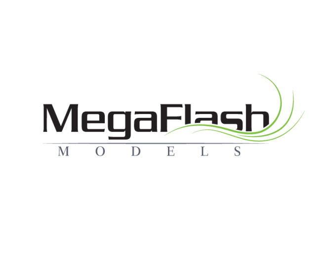 MegaFlash Models