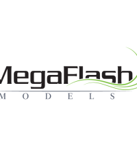 MegaFlash Models