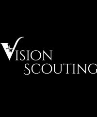 Vision Scouting