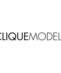 CLIQUE MODELS