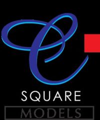 C Square Modeling and promotions agency