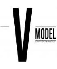 V model mgmt