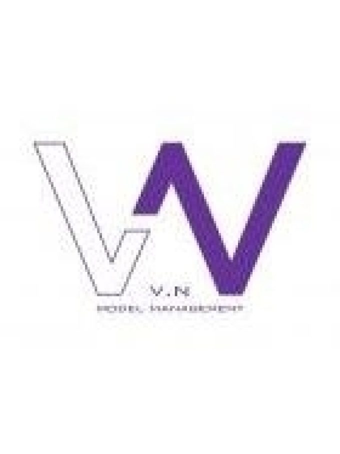 VN Model Management