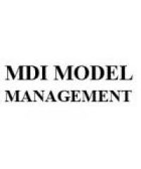 MDI Model Management
