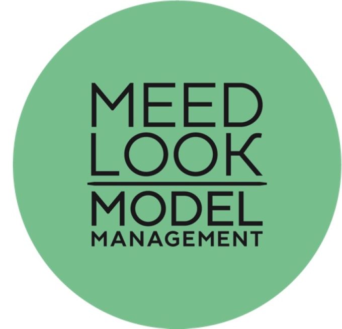 MeedlookMODEL