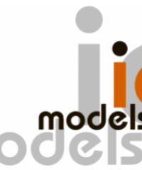 IQ models