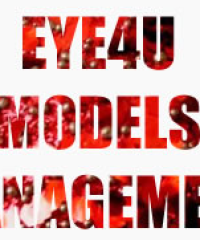 Eye4umodels